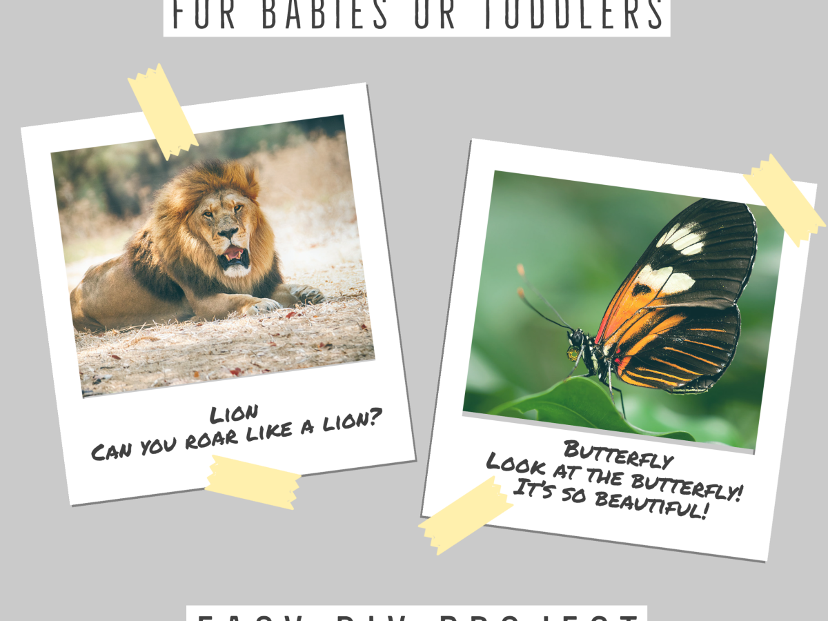 How to make printable flashcards for babies or toddlers?